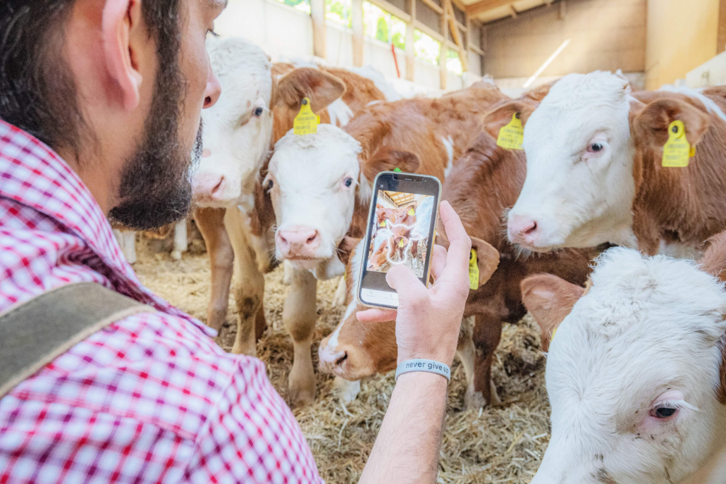 Das interaktive Tool von viehworld steigert den Mehrwert für alle Beteiligten am Markt: für Landwirte im An- und Verkauf, Viehhändler, Konsumenten, Versteigerungshallen und die Tiere selbst. Auf der App werden alle relevanten Daten für den Privatverkauf eines Nutztiers abgebildet: von Zuchtdaten über Stammbaum bis Reproduktion.