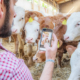Das interaktive Tool von viehworld steigert den Mehrwert für alle Beteiligten am Markt: für Landwirte im An- und Verkauf, Viehhändler, Konsumenten, Versteigerungshallen und die Tiere selbst. Auf der App werden alle relevanten Daten für den Privatverkauf eines Nutztiers abgebildet: von Zuchtdaten über Stammbaum bis Reproduktion.